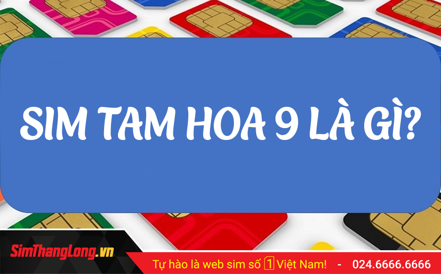 SIM-TAM-HOA-9